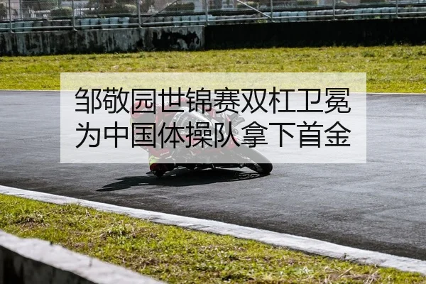 邹敬园世锦赛双杠卫冕 为中国体操队拿下首金
